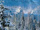 Fairmont Chateau *****, Whistler Fairmont Chateau *****, Whistler