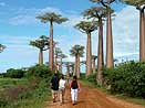 Tajemný Madagaskar Tajemný Madagaskar
