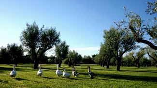 Cesta kolem světa 2015 - Mendoza Cesta kolem světa 2015 - Mendoza