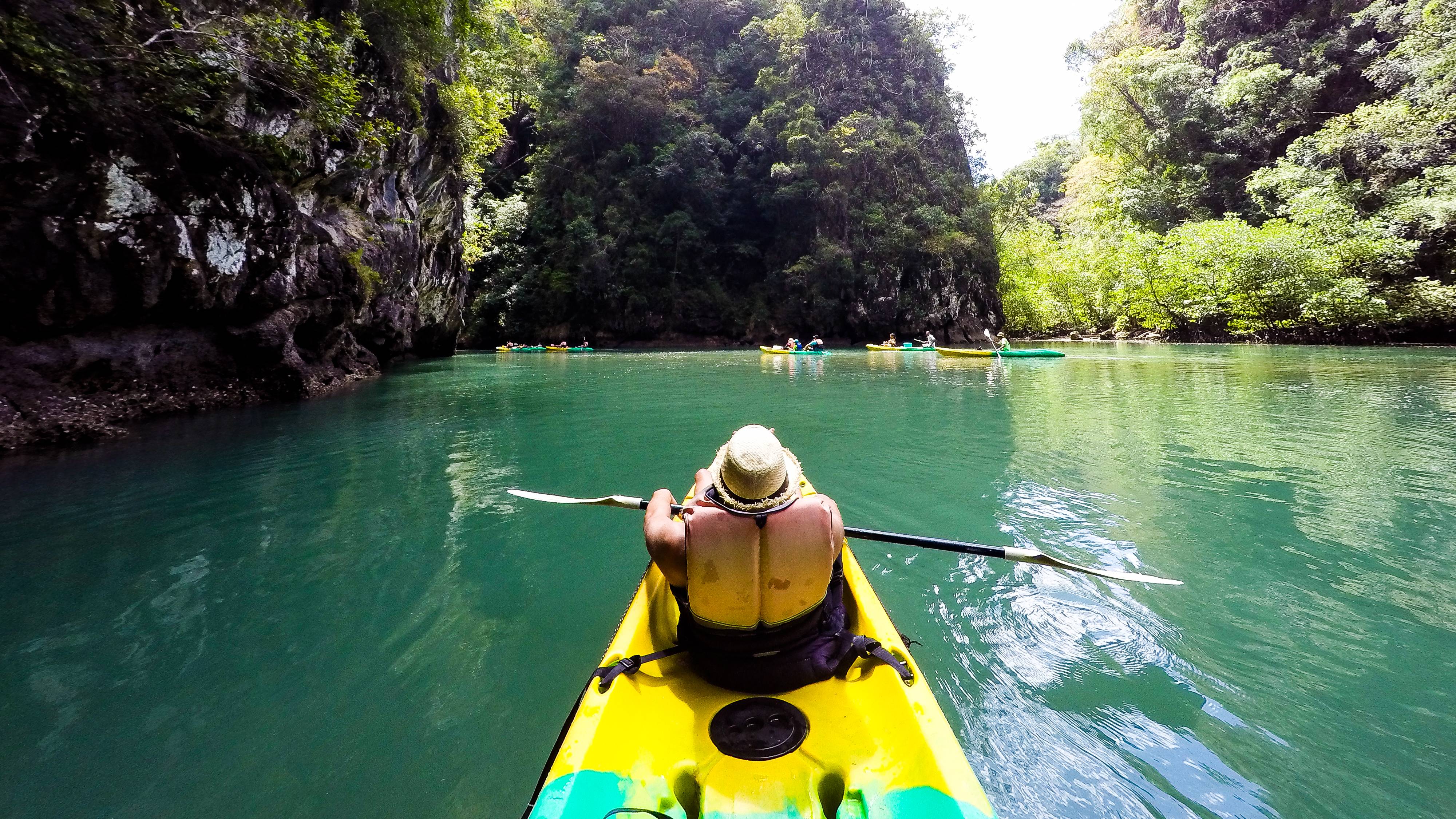 Mangrovníky v oblasti Krabi