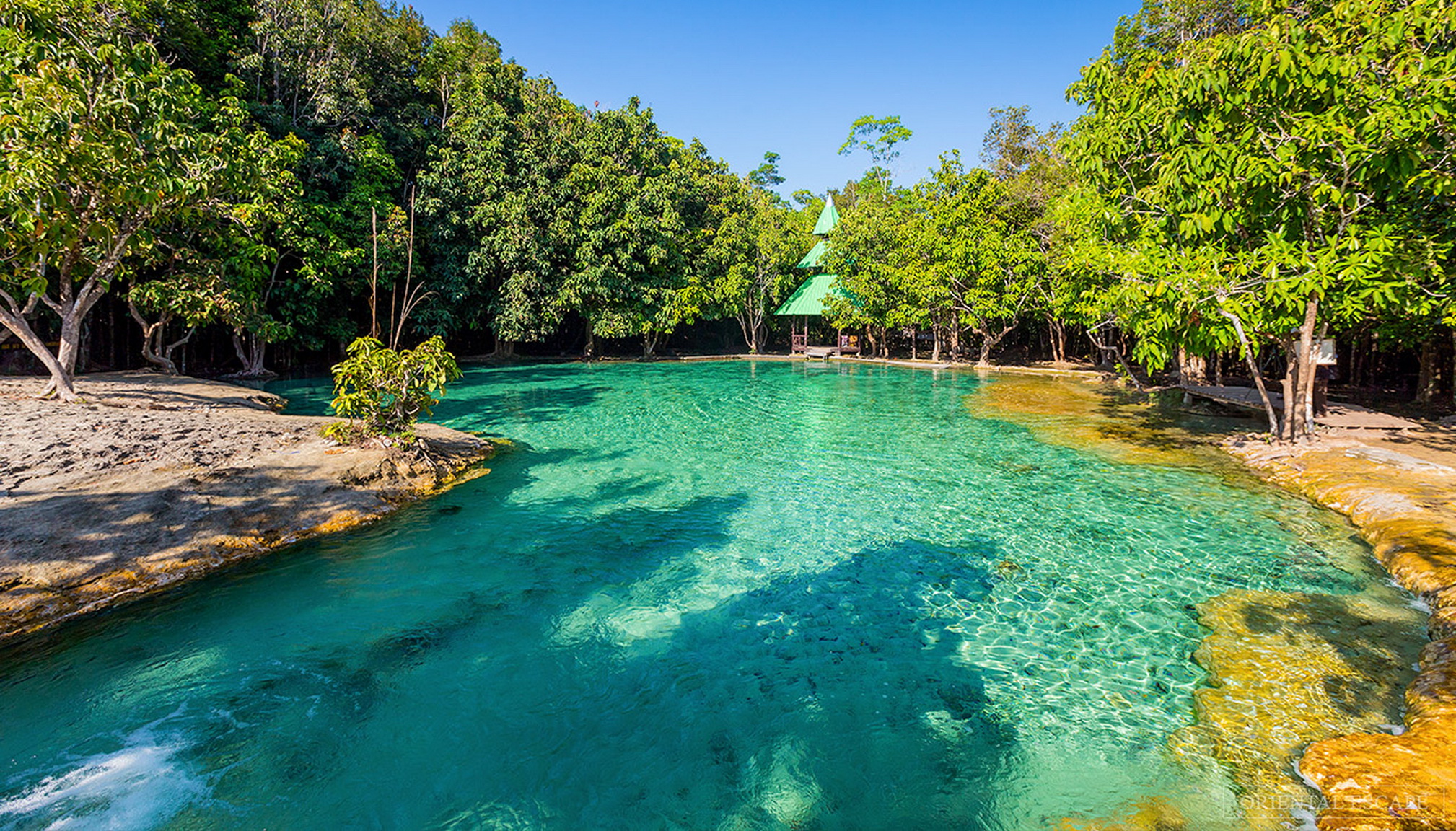 Trekking džunglí z Krabi