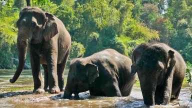 Velký okruh severním Thajskem