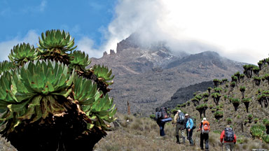 Výstup na Kilimandžáro cestou Marangu