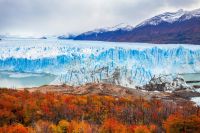 Podzimní stromy u ledovce Perito Moreno v Patagonii