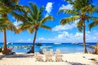 Palmy a volná plážová lehátka na pláží v Cayo Levantado, Dominikána