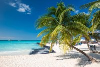 Sněhobílá pláž s palmami v Las Terrenas, Dominikána