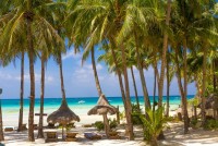 Lehátka a palmy na sněhobílé pláží, Maledivy