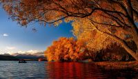 Příroda se během podzimu zbarví do červeno-žluta. Jde o ideální dobu pro cestování a poznávání přírodních i kulturních památek.