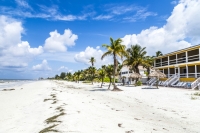 Exotické palmy a sněhobílé pláže ve Fort Myers