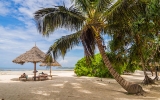 Kam v listopadu? Za adrenalinem do Tanzanie, nebo na kubánské pláže?
