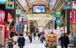 Do Japonska za nákupem levné elektroniky nebo třeba za starobylými chrámy