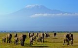 Sníh v Africe? Vystoupejte na Kilimandžáro a uvidíte ledovce i tropické pláže