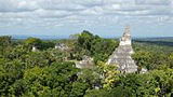 Záhada v Guatemale a konec světa? Mayské naleziště Tikal skrývá tajemství