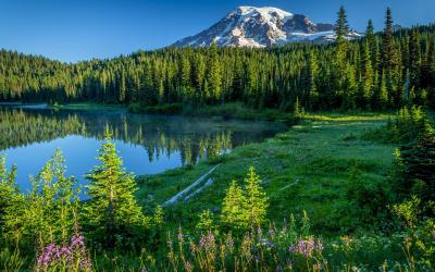 USA | Mt. Rainier NP