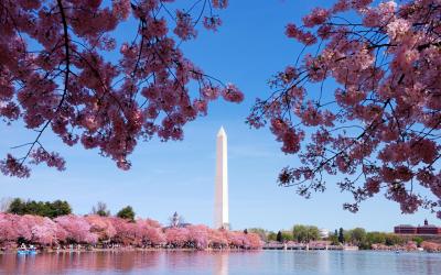 USA | Washington D.C. - Washington Monument