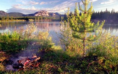 USA | Yukon River