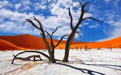 Namíbia | Sossusvlei & Deadvlei
