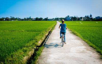 Vietnam | Mekong Delta