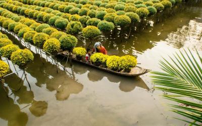 Vietnam | Mekong 
