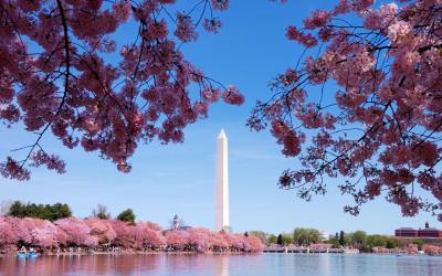 USA | Washington D.C. - Washington Monument