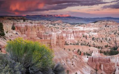 USA | Bryce Canyon NP