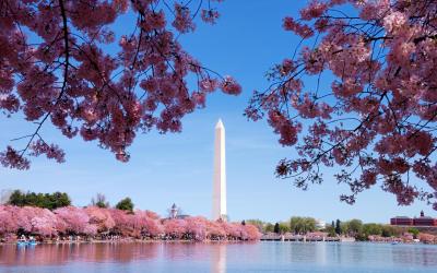 USA | Washington D.C.