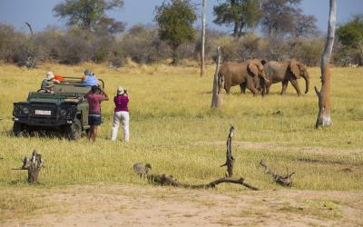 Zimbabwe | Hwange NP