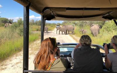 Zimbabwe | Hwange NP