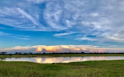 Zimbabwe | Hwange NP