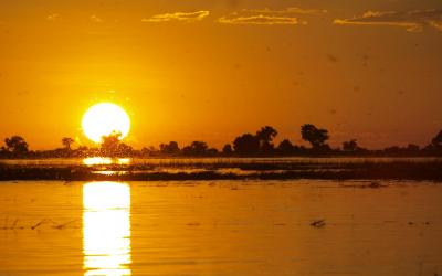 Botswana | Safari na Chobe River 