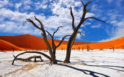 Namibia | Sossusvlei a Deadvlei 