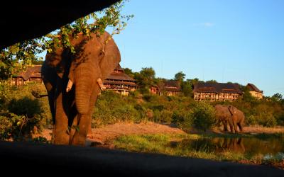 Victoria Falls Safari Lodge