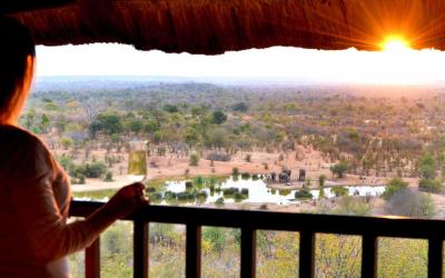 Victoria Falls Safari Lodge