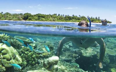 VOMO-Ocean-Play-Snorkeling