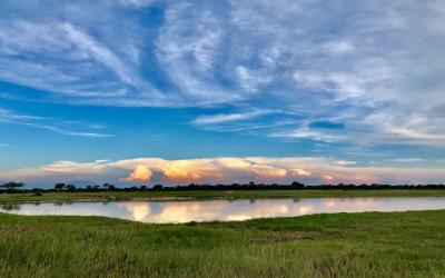 Zimbabwe | Hwange NP