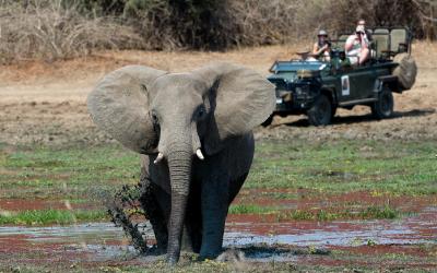 Zambia | Zambia