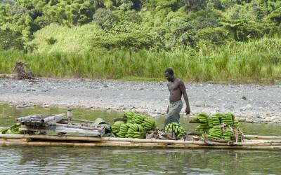 raft with bananas