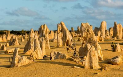 Pinecles | Australia