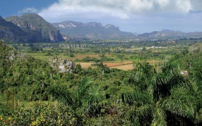 Vinales