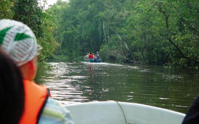 Kinabatangan River