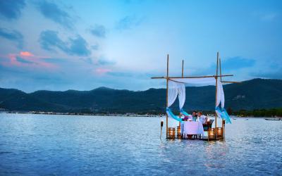 Dinner in the Sea