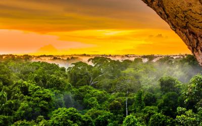 Amazonie | Brazílie