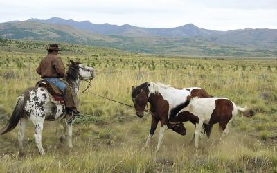 Argentína | Pampa