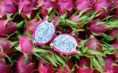 dragon fruits