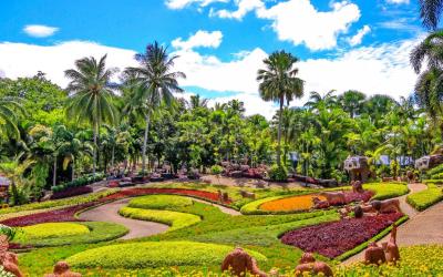 TROPICAL GARDEN