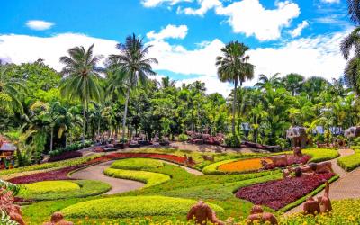 TROPICAL GARDEN