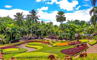 TROPICAL GARDEN