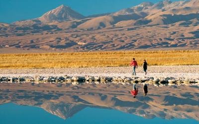 Atacama Salar | Chile