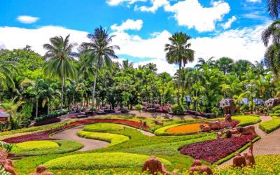 TROPICAL GARDEN