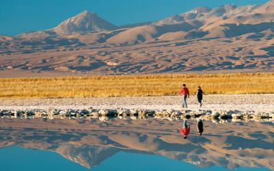 Atacama Salar | Chile